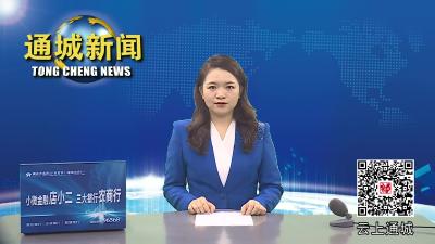 视频-通城县人大常委会调研全县市场监管工作