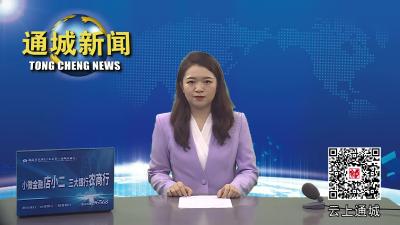 视频-通城县扎实开展党风廉政建设宣教月活动