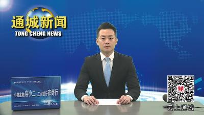 视频-通城县领导督导项目建设时要求：全力攻坚 推动项目工作提质增效 