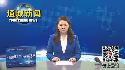 视频-通城：廉政戏曲进乡村 清风文化润心田