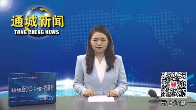 视频-通城县公共资源交易中心：夜学讲堂提能力  以老带新强本领 