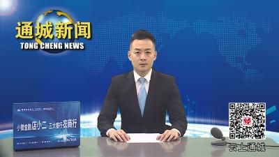 视频-省水利厅来通城调研农村饮水安全和现代水网编制推进情况 