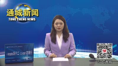 视频-通城县滨江幼儿园无偿移交教育使用