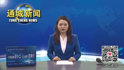 视频-省纪委监委派驻省商务厅纪检监察组来通城调研