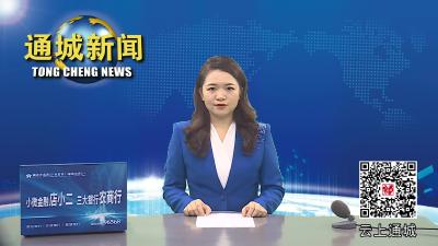 视频-通城：暑假户籍业务忙 民警服务“不打烊”