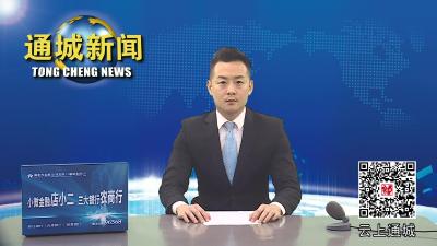 视频-“通平修”青年人才合作交流会在通城举行 