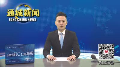 视频-通城县教育局开展校外培训机构整治暨严禁中小学教师有偿补课专题会议 