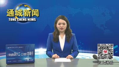 视频-市委统战部来通城调研统战工作融入基层党建和社会治理工作