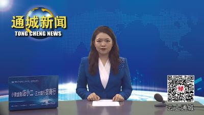 视频-通城县政府党组召开全面从严治党专题会议 