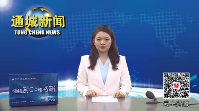 视频-县领导督办生态环境突出问题整改工作 