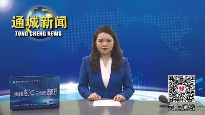 视频-通城县公安局：密织“城市天眼” 着力提升侵财类案件破案质效