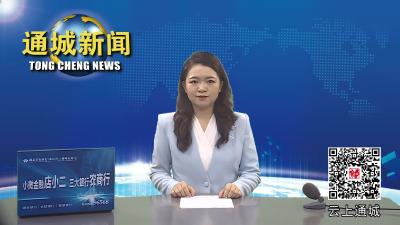 视频-咸宁市消费者权益保护工作会暨城区消费纠纷集中处置现场会在通城举行