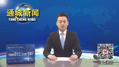 视频-2023年通城县未成年人保护工作领导小组第一次全体会议召开 
