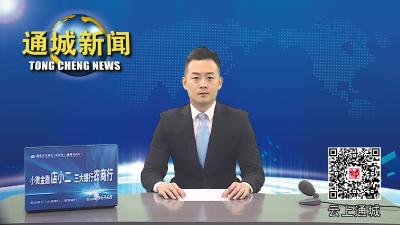 视频-全省耕地保护工作推进电视电话会召开