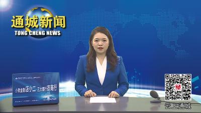 视频-第六届“咸宁故事”大赛通城赛区选拔赛启动 