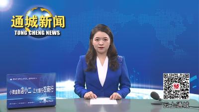 视频-县人大常委会调研我县2023年上半年经济社会发展工作 