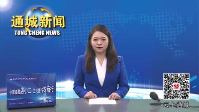 视频-当前水稻如何防治病虫害 农技专家田间把脉支招 
