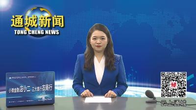 视频-刘中英到麦市镇调研乡村旅游“万千百”工程 