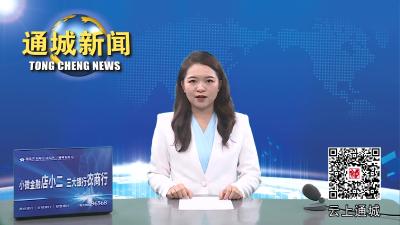 视频-通城经济开发区安排部署配合咸宁市创建国家食品安全示范城市工作 