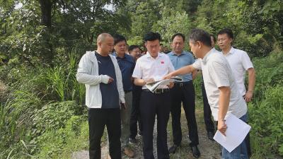 杨修伟现场勘察项目规划用地和建设情况