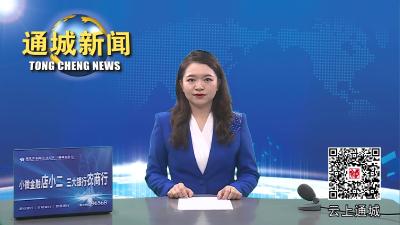 视频-以我情怀 为你圆梦：通城状元广场举办第八届资教助学活动 