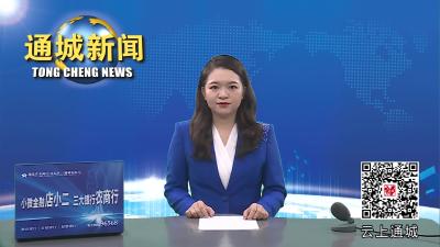 视频人民至上 生命至上|通城县安排部署地质灾害隐患专项排查