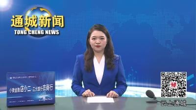 视频-通城县安委会第三次全会暨重大事故隐患专项排查整治2023行动推进会召开 