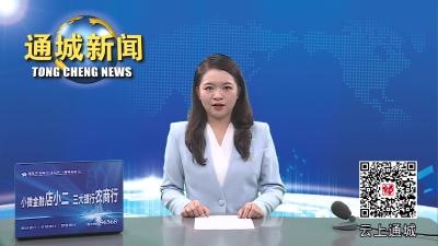 视频-通城县领导调研研磨产业回归创业（孵化）园建设工作 