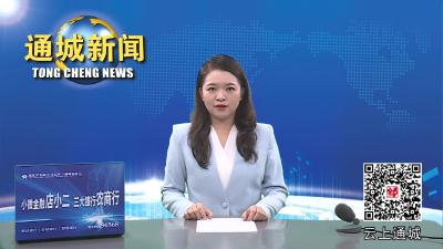 视频-通城县卫健系统召开廉政谈话座谈会 