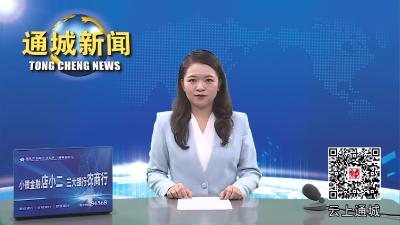视频-激情开讲 火热推进！通城县税务局开展“票易查”平台应用培训 