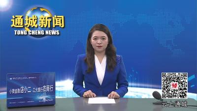视频-通城县召开2023年优化营商环境新闻发布会