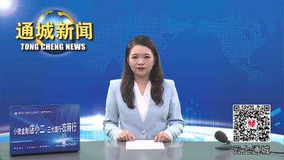 视频-通城县委教育工作领导小组第三次会议暨校园安全生产专业委员会第四次全体会议召开 