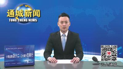 视频-通城部署2023年第三批地方政府专项债券项目储备及申报发行等工作 