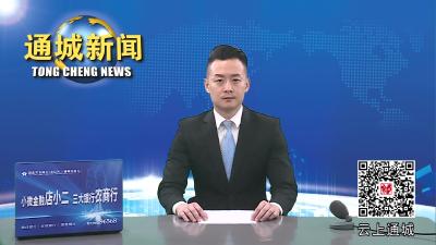 视频-2023年第12次通城县政府常务会议召开