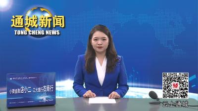 视频-通城县召开第五次全国经济普查单位清查布置暨业务和软件培训会 