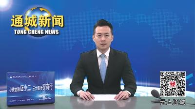 视频-市第十一届“香城大舞台”群众性系列文化活动专项督导组来通城调研 