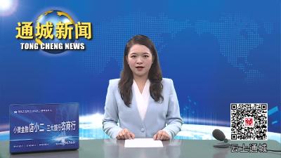 视频-通城县人大常委会视察调研检察工作 