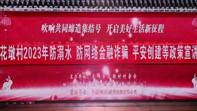 视频-通城县大坪乡花墩村：安全教育忙宣讲  共享夏日好时光 