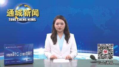 视频-通城县召开创建省级文明城市“三十”行动调度会议 