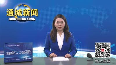 视频-通城县领导赴安徽江苏招商考察 