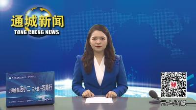 视频-2023年通城县纪法专题培训班开班 