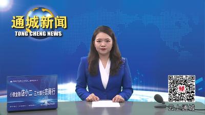 视频-通城县市场监管局：诚信宣传进企业 筑牢信用促发展 