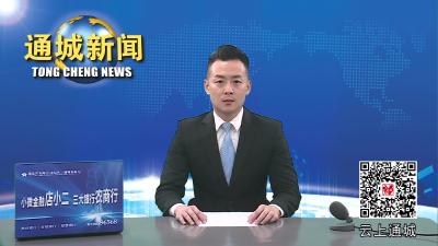 视频-通城县医药领域腐败问题集中整治暨县纪检监察机关配合开展集中整治工作会议召开