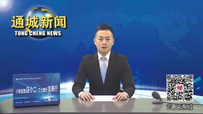视频-通城县召开咸宁电视问政问题整改工作推进会 