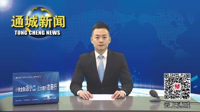 视频-通城县委平安通城建设领导小组2023年第三次会议召开 