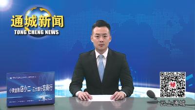 视频-通城县政协召开“发挥通城独特文化资源优势推动文创产业快速发展”一线协商会 
