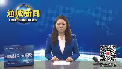 视频-省人民政府办公厅关于全省应急管理上半年工作调度会召开