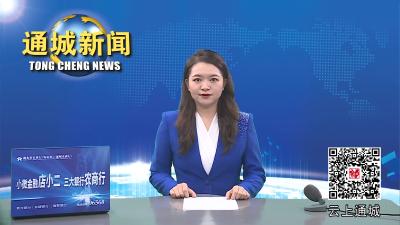 视频-通城县举行乡镇党委书记暨县直相关单位党组织书记信访工作培训班 
