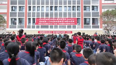 视频-通城县开展国家安全宣传教育进校园活动 