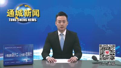 视频-通城县召开人才工作重点任务推进会暨“人才服务月”活动动员部署会 